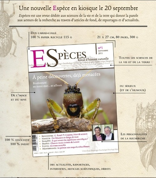 Espèces