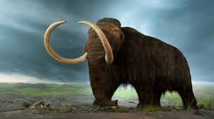 DES MAMMOUTHS AUX PORTES DE PARIS DES MAMMOUTHS AUX PORTES DE PARIS