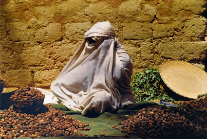 Photo Yvan MARCOU Photo Yvan MARCOU