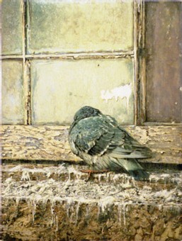 Exposition: YIGAL OZERI. Exposition: YIGAL OZERI.