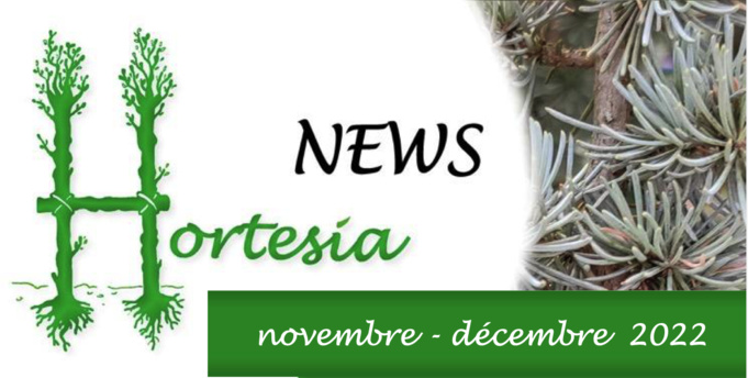 News d’automne d’Hortesia