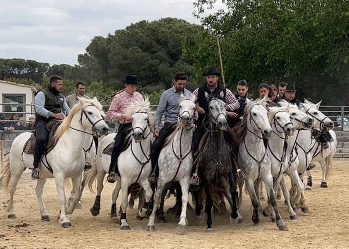 Traditions camarguaises Traditions camarguaises