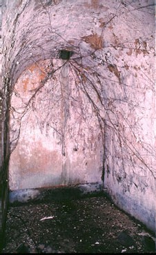 Île Saint-Joseph - cellule obscure