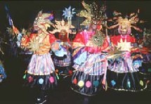 CARNAVAL DE GUYANE. CARNAVAL DE GUYANE.