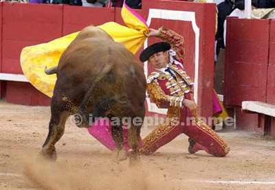Légitimité de la tradition taurine Légitimité de la tradition taurine