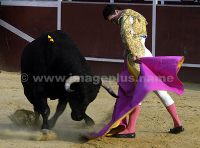 Corrida - Jimenez CABALLERO