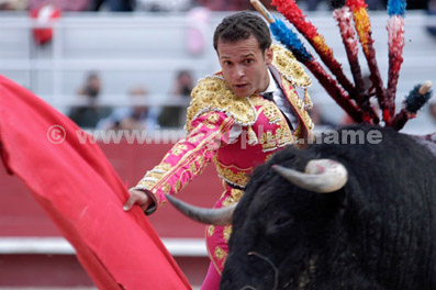 Corrida - Antonio FERRERA