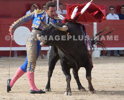 Corrida - Stephane FERNANDEZ MECA