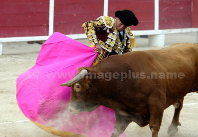 Corrida - Jose Maria MANZANARÉS