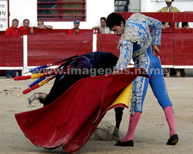 Corrida - Julien MILETTO