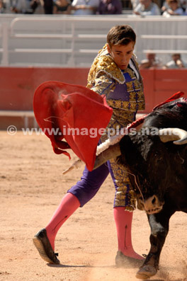 Corrida - Daniel PALENCIA