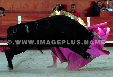 Corrida - Fernando PINEDA