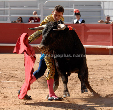 Corrida - Miguel NAVARO