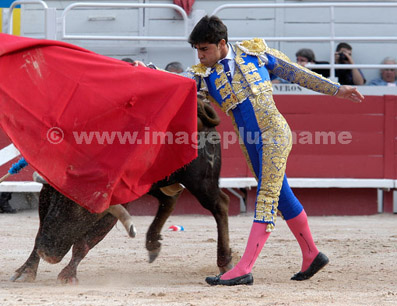 Corrida - Ravier VALVERDE