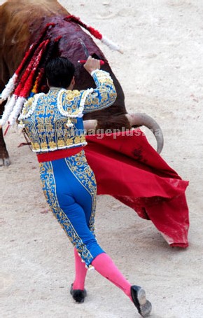 MORANTE DE LA PUEBLA - photo © Yvan Marcou