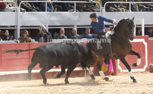 Hermoso de MENDOZA © photo Yvan Marcou Hermoso de MENDOZA © photo Yvan Marcou