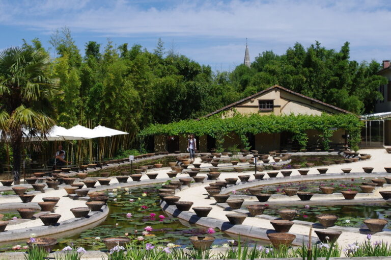 Le jardin Latour-Marliac à l’honneur - Temple-sur-Lot (47110)