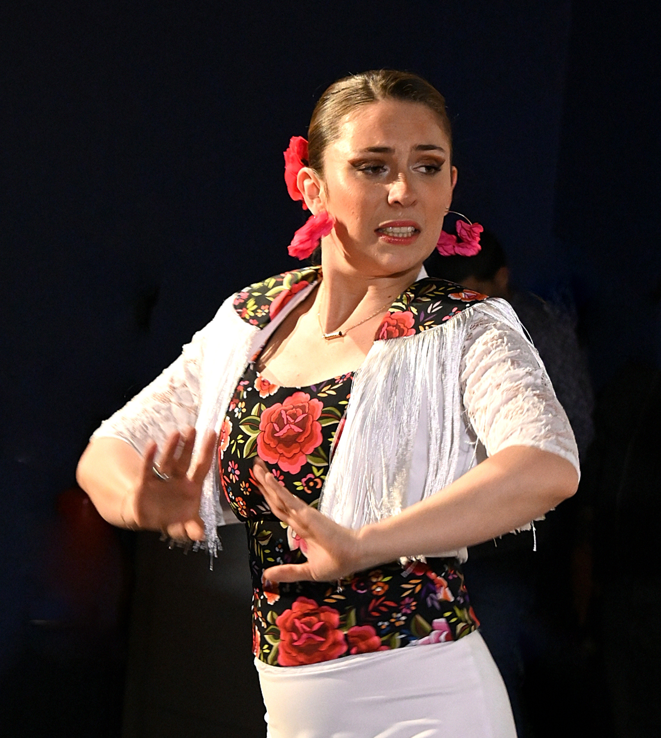 Sur un air de flamenco - El Sol de Espagna