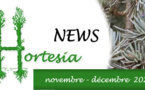 News d’automne d’Hortesia