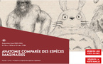Exposition - Anatomie comparée des espèces imagnaires - Musée de Lodève (34)