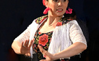 Sur un air de flamenco - El Sol de Espagna