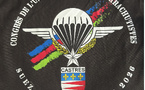 Congrès de l'Union Nationale des Parachutistes - 11 au 13 juin 2026 - Castres (81)