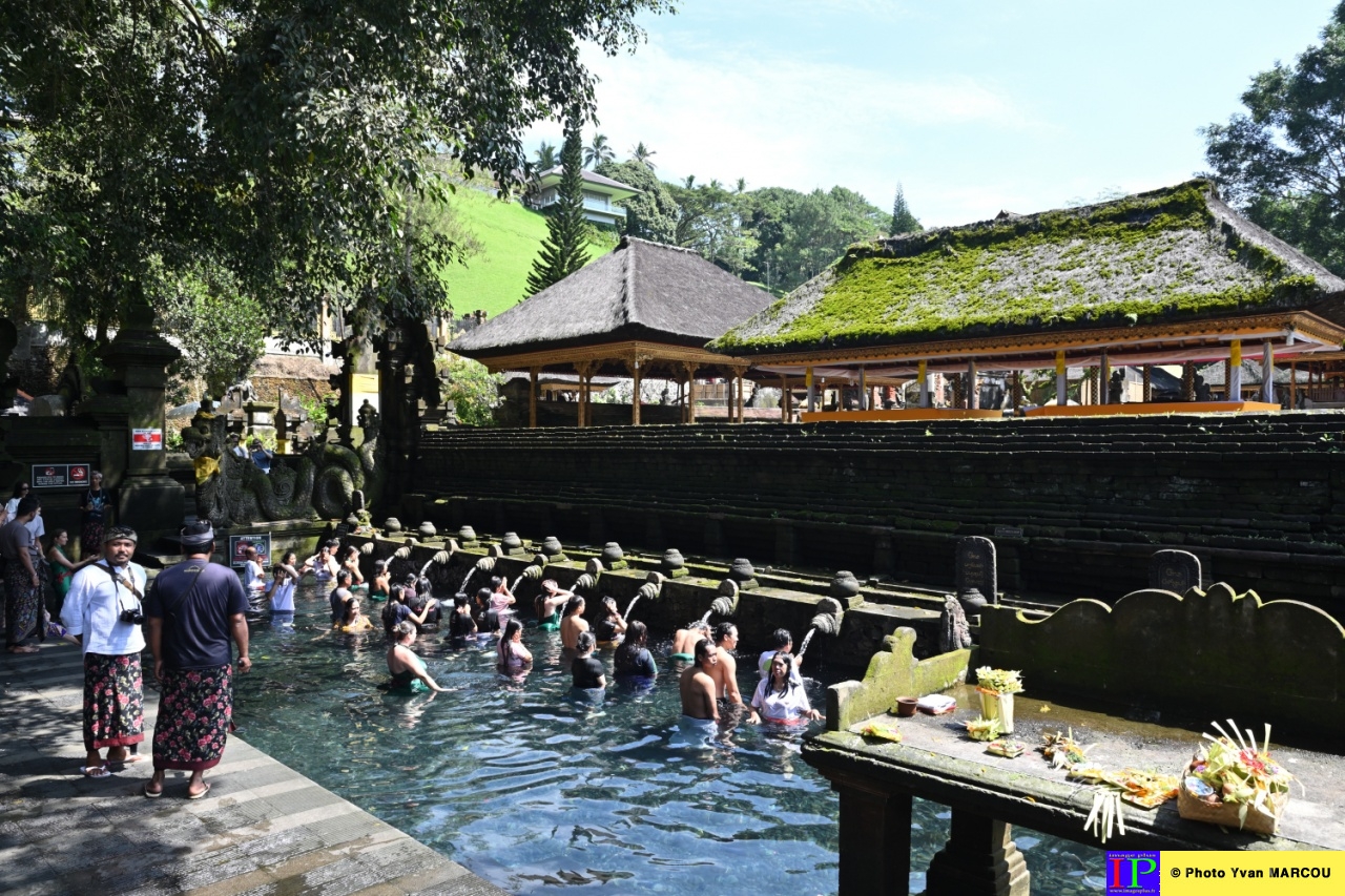 Tirtha Empul Tampaksiring-01-04-2025-17© Yvan MARCOU_01